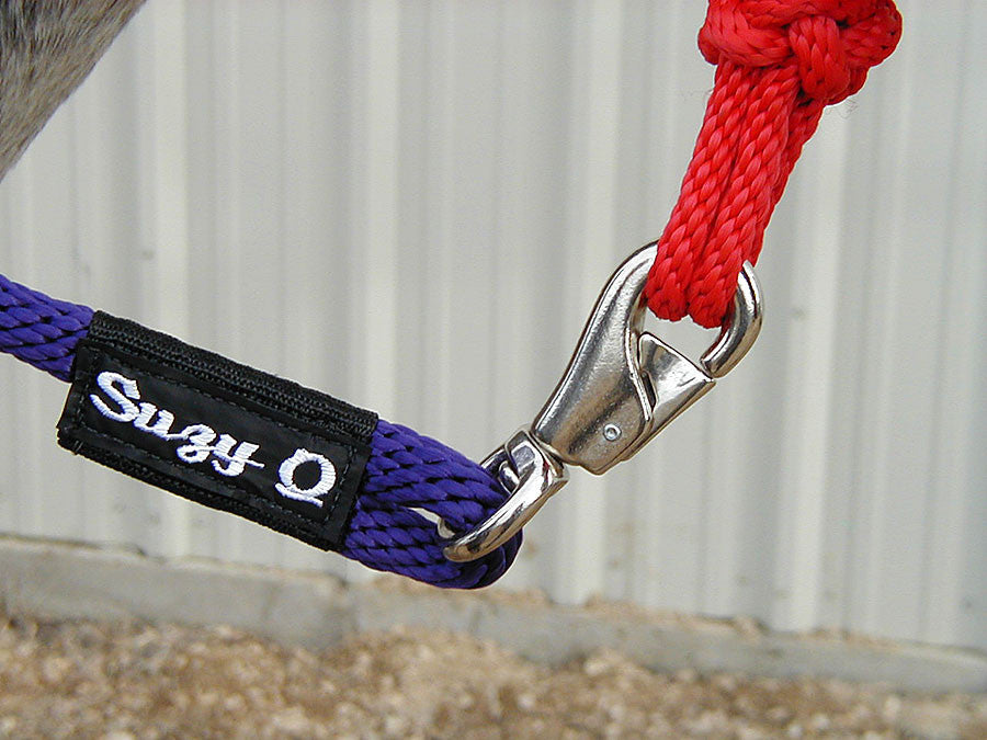 Personalized Horse Lead w/ Bull Snap Thumbnail